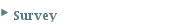Survey